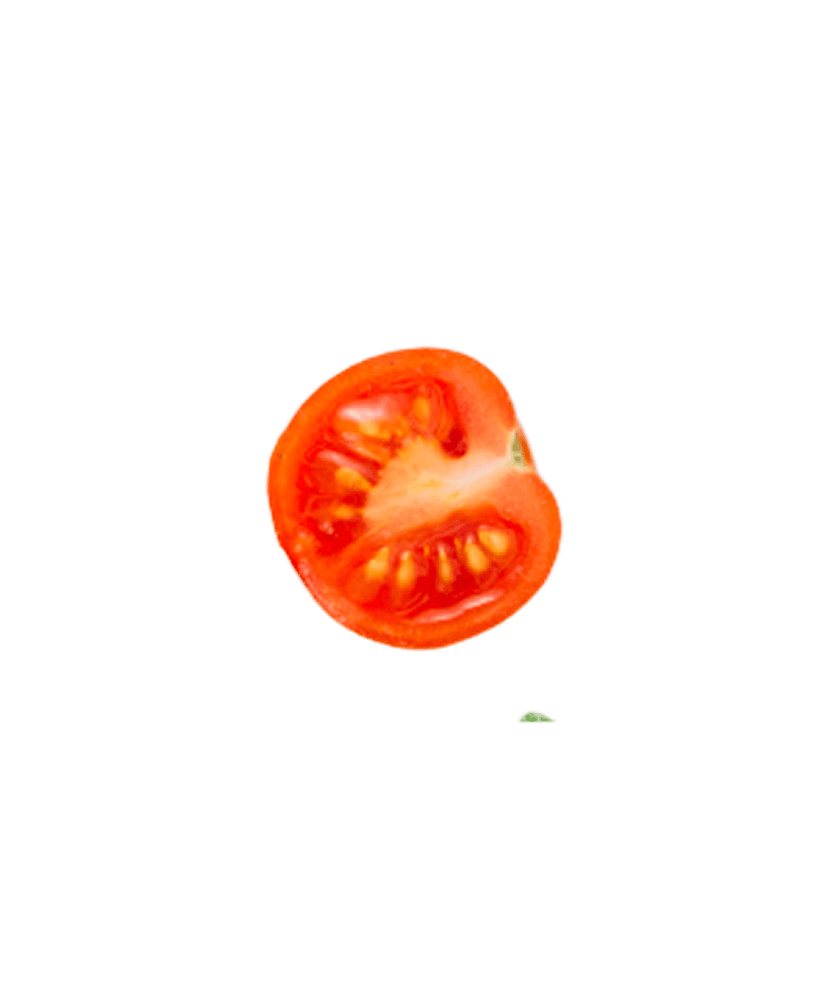 Tomato